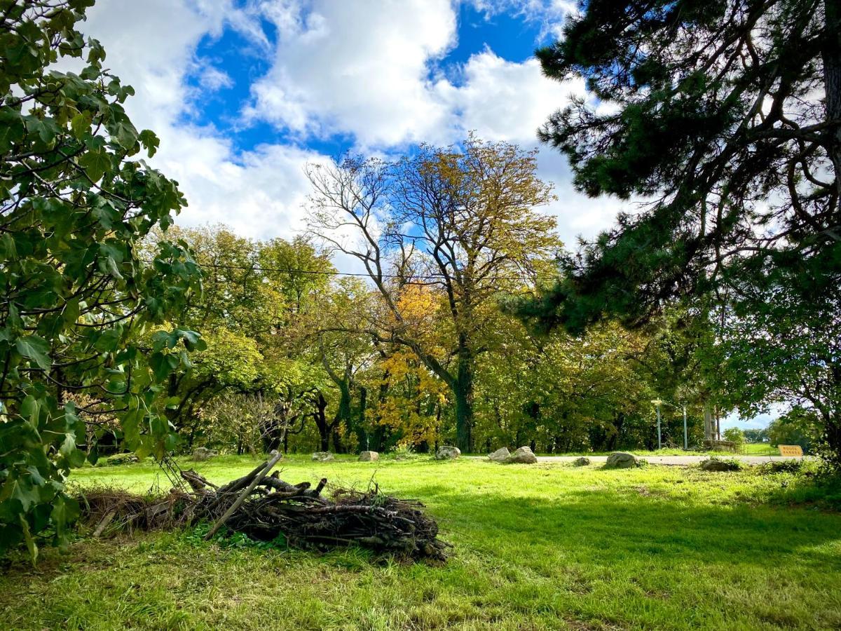 Gite De Corsas Saint-Victor  Exteriör bild